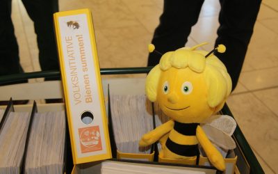 Insektenschutz – Erste Lesung im Landtag