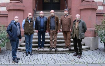 Verbände verlassen geschlossen die Gremien des Brandenburgischen Wolfsmanagements